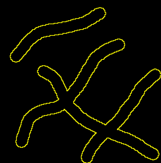 Input image Input image